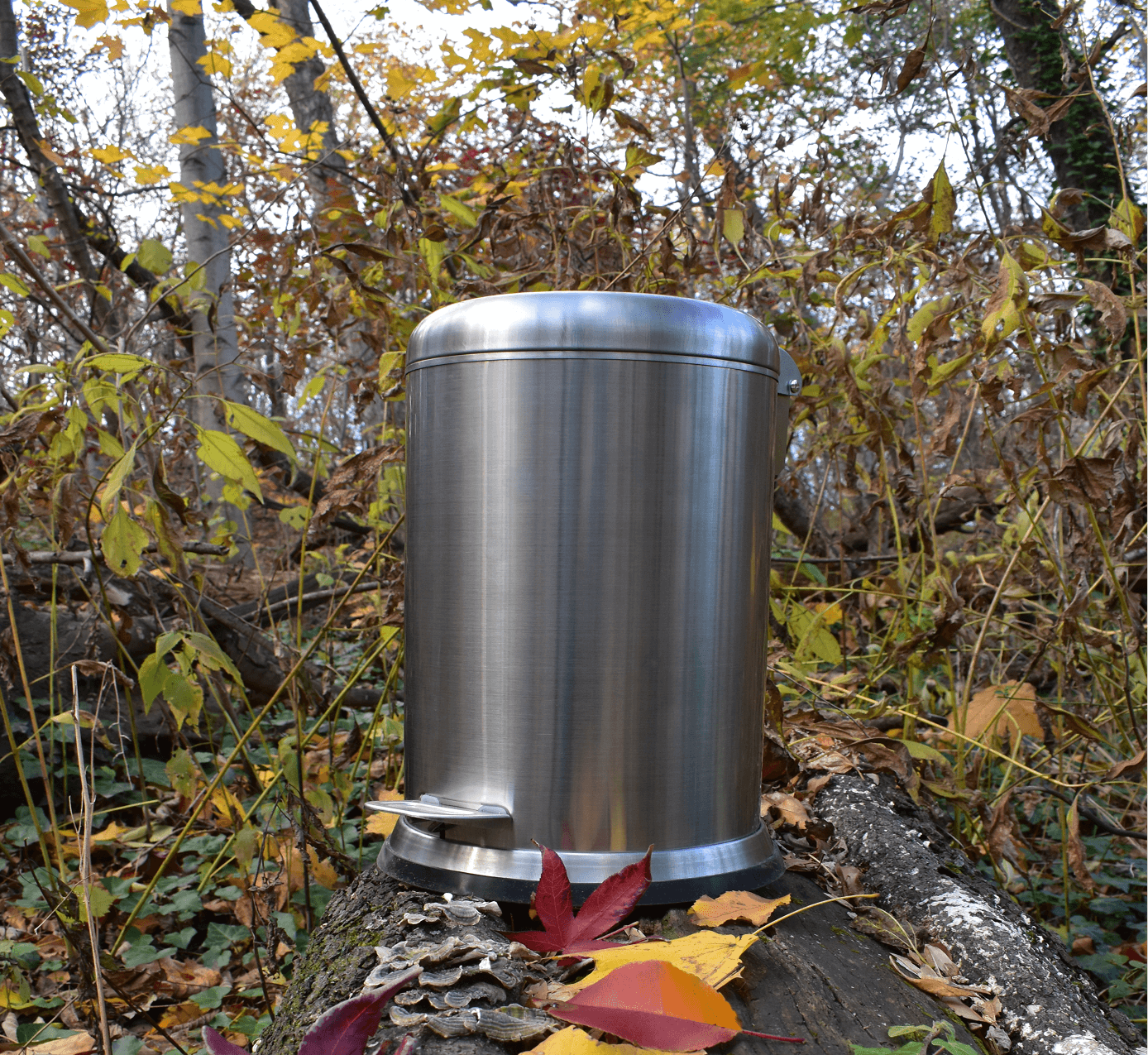 kitchen compost bin, odor free compost bin, eco friendly kitchen, food waste bin, compost container, composting, organic waste, circular economy, kitchen scraps