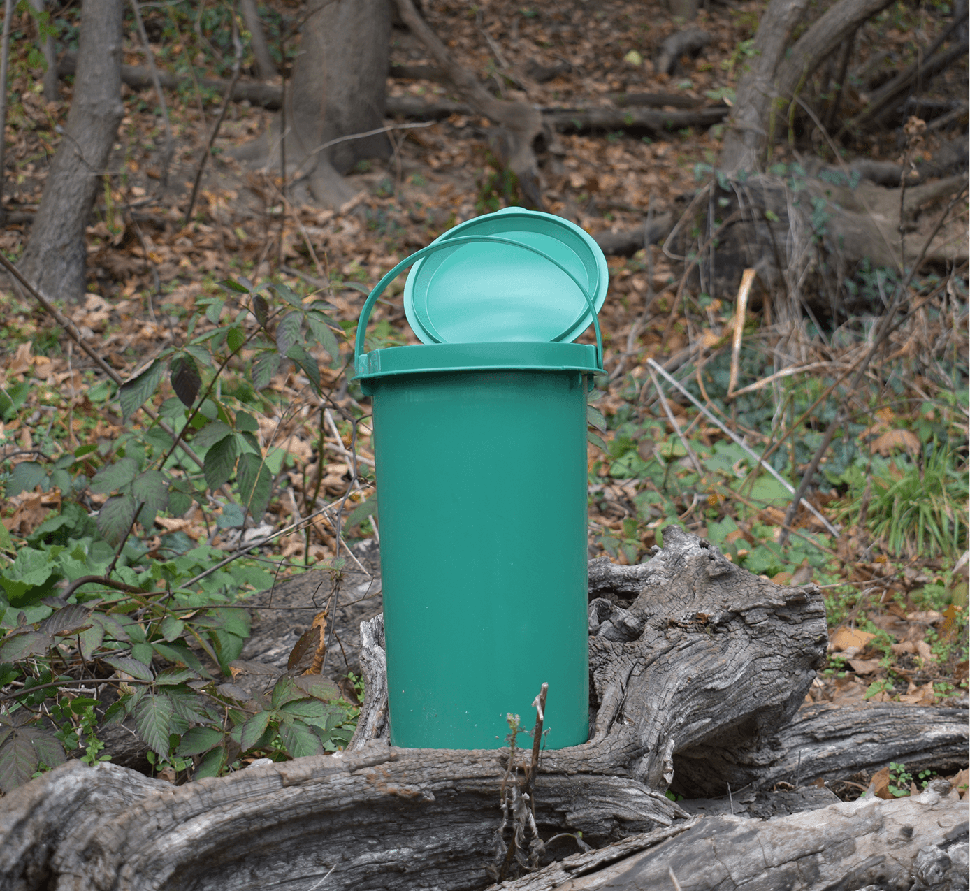 kitchen compost bin, odor free compost bin, eco friendly kitchen, food waste bin, compost container, composting, organic waste, circular economy, kitchen scraps
